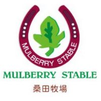 (有)桑田牧場 公式従業員 (@mulberry_stable) 's Twitter Profile Photo (有)桑田牧場 公式従業員 (@mulberry_stable) 's Twitter Profile Photo