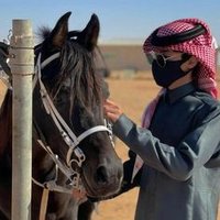 الُِدِوُسرٍي (@snoweithe2020) Twitter profile photo