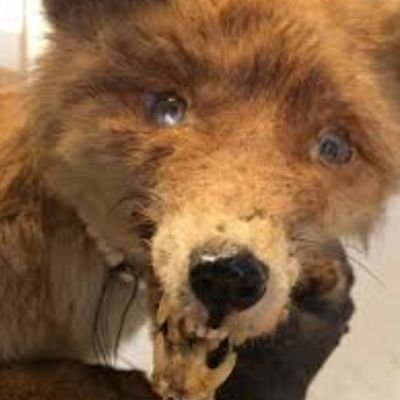 AlloPital396862's profile picture. 