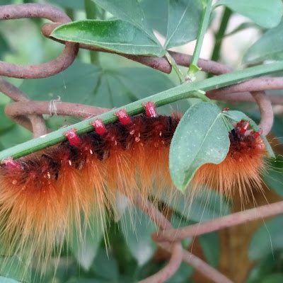 TukreyProg's profile picture. 