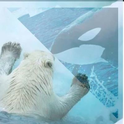 2wish_tian's profile picture. Chinese🇨🇳 BEYOND✨เธอคือตะวันที่แสงมันส่องมา มีน พีรวิชญ์ แปลน รัฐวิทย์   #ทูวิช เต ตะวัน นิว ฐิติภูมิ #เตนิว #โพก้า