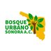 Bosqueurbanoson (@bosqueurbanoson) Twitter profile photo