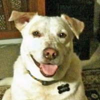 David J. Hoffman, Jr (@daviddhoff68718) 's Twitter Profile Photo