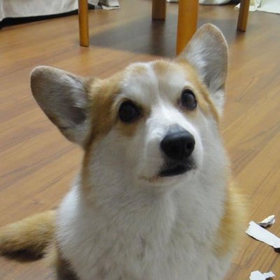 vstsweb's profile picture. working in Microsoft Cloud & AI development team in Redmond, responsible for engineering on localization 
マイクロソフト米国本社にてクラウド製品/サービス・ドキュメントのローカライズプロセスを担当しています