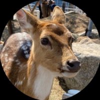 うー電車 (@mokusorizm) 's Twitter Profile Photo うー電車 (@mokusorizm) 's Twitter Profile Photo