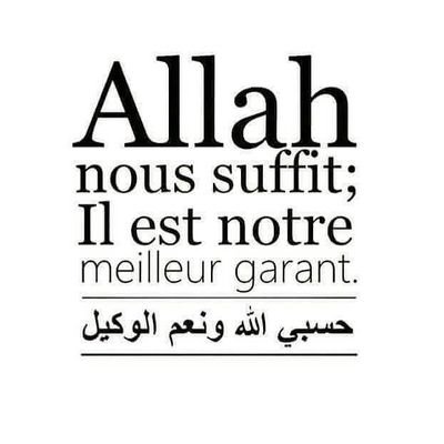 MoohamadSaleeh's profile picture. 