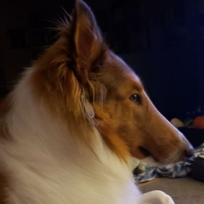 Winston6322 Profile Picture