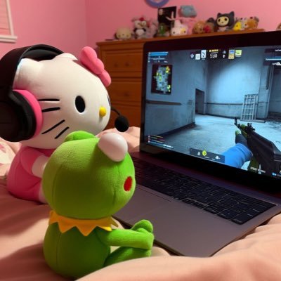 BippyBungo's profile picture. I like gambling and drinking