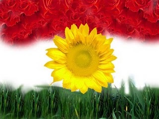 MSc. Forest Utilization/University of Duhok. High Diploma Spatial Planning (Environmental pollution)/D. University. Biology Teacher at Duhok Internationl School