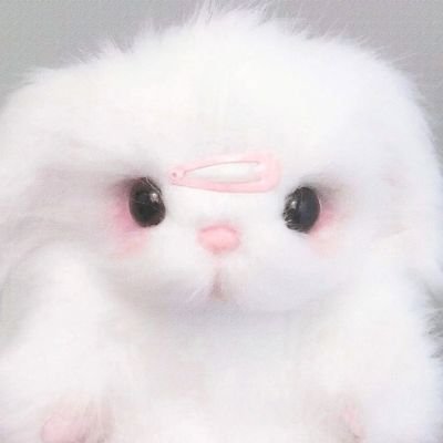 🐰🌸 | 루타냐 | 골고루 좋아해요!