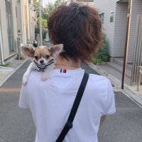 Ryo(@chanryo0120) 's Twitter Profile Photo