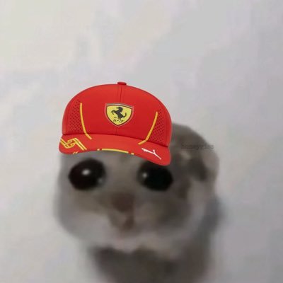 albatrraus's profile picture. PhD student in Structural Biology @SavvidesLab | That’s a very good question and my greatest fear because I don’t have an answer 🤓