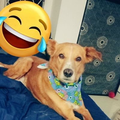 Jaireyesr's profile picture. Médico de la Universidad el Bosque - #LFC ♥ #YNWA -