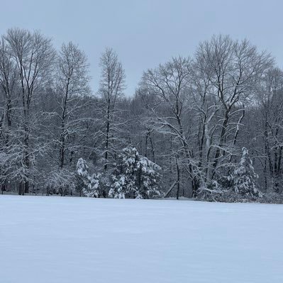 LanaMarieeeeee's profile picture. 