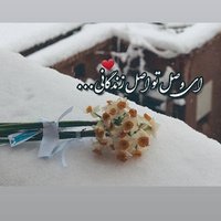 حاج امیر🇮🇷(@Amirabas1495) 's Twitter Profile Photo