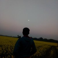 Arsene Lupin CLONE (@arpalok10) 's Twitter Profile