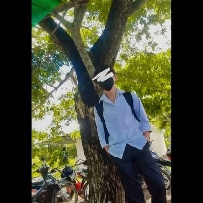 Zphisher136029's profile picture. 