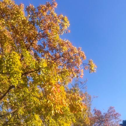 pQzcFA2A74DnWOk's profile picture. 息子新4年からSAPIX
母は多忙&完全ワンオペ。
皆様から素直に学ばせて頂きます。どうぞよろしくお願い致します🙇‍♀️,,♡