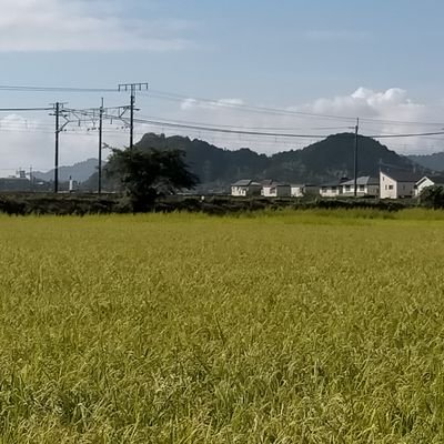 nhaYWgArdG7203's profile picture. 