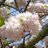 takamori_2024
