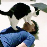๐ (@password709) 's Twitter Profile Photo ๐ (@password709) 's Twitter Profile Photo