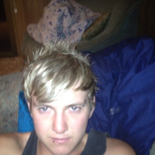 CollieDavid's profile picture. 