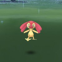 たぬき (@houhou10000) Twitter profile photo