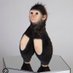 paul king bungus (@kingbungus) Twitter profile photo paul king bungus (@kingbungus) Twitter profile photo
