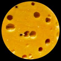 sCHweiz fΓΌr alle ! π¨ππ³οΈβπ inmitten der πͺπΊπ (@schweizim) 's Twitter Profile