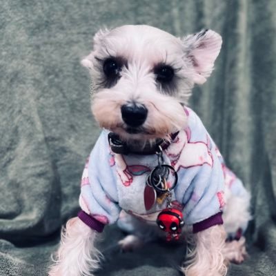 Twitchside001's profile picture. 