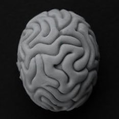 neurosc_nd_smm Profile Picture