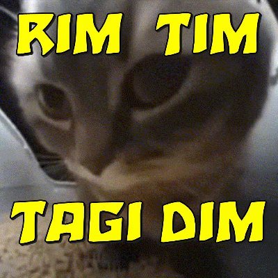 MP24801535's profile picture. 😻 Baby Lasagna Army 😻