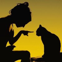 ThierryLeChat (@lechat_cestmoi) 's Twitter Profile