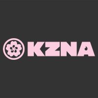 KZNA ⚔️(@KZNA_NFT) 's Twitter Profile Photo