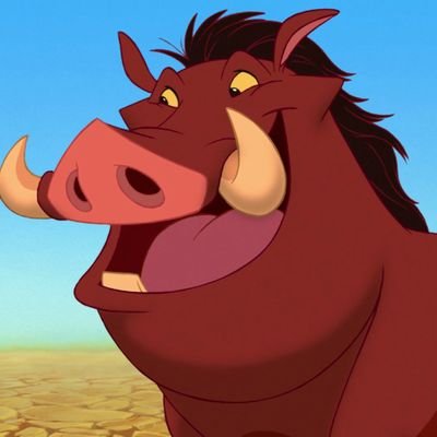 Pumbaa 🐗