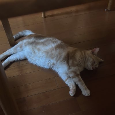 おひるね太郎さんのプロフィール画像