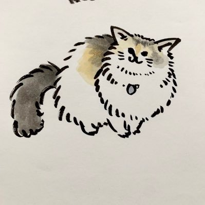 Kaka ❂猫🙀頭さんのプロフィール画像