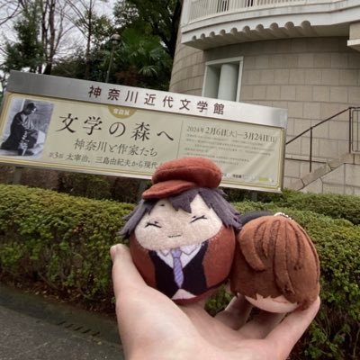 よりさんのプロフィール画像