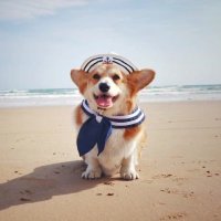 Cheng Yang (@chengyang_yc) 's Twitter Profile Photo Cheng Yang (@chengyang_yc) 's Twitter Profile Photo
