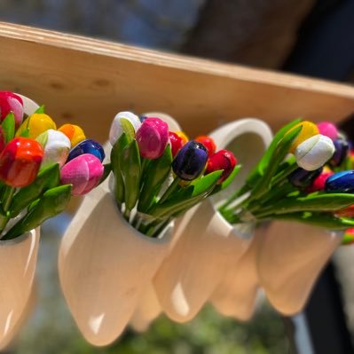 Spiegelei23's profile picture. 