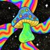 TRIPPY HOUSE (@trippyfunhouse) Twitter profile photo TRIPPY HOUSE (@trippyfunhouse) Twitter profile photo