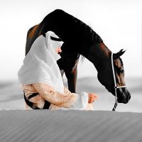 عبدالله🪔 (@ajj_1992) Twitter profile photo