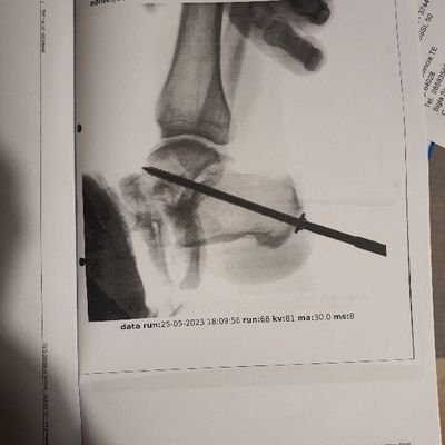 Joe73985077's profile picture. Instructor,FSR,FST
Christian,Conservative Republican.