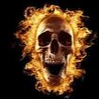 rohitnegi4321's profile picture. 