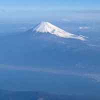 NTer0219 (@nter0219) 's Twitter Profile