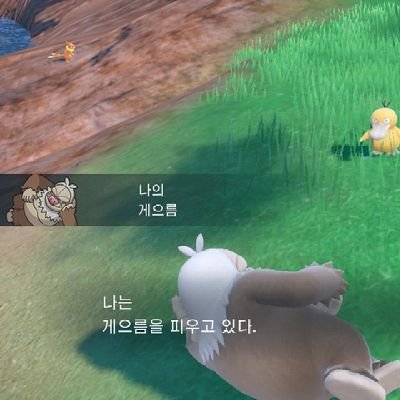 pokémon || 20↑ || 팔데아 가라르 하나 신오 성도 관동 관장 사천왕 챔피언 선생님 홈웨이조 북신조 팝니다 테이블은 안 팝니다