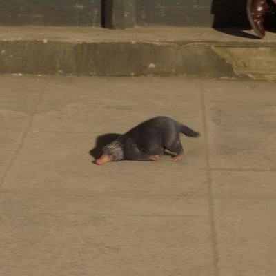 onff_off's profile picture. 基本rom専おじを拝むためだけの垢/ガチムチが好きだったのにdrちゃんに性癖ぶっ壊された/🦍🦇/成人済み/フォロー失礼します