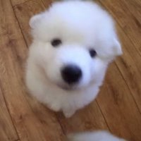 ໒꒱ ⋆゚ (@tipsyonseoul) 's Twitter Profile Photo ໒꒱ ⋆゚ (@tipsyonseoul) 's Twitter Profile Photo