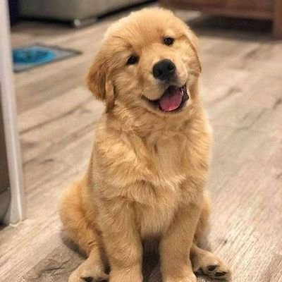 TanitJitt's profile picture. ฉันมี #GOT7 เป็นแรงใจ และ ยาใจชั้นเลิศ
ชิปทุกคู่ ทุกโมเมนต์ สาววาย ที่ไม่ได้อินกับทุกคู่  นิยายคือความชอบตอนนี้