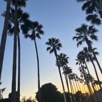 make zh (@zh_make78812) 's Twitter Profile